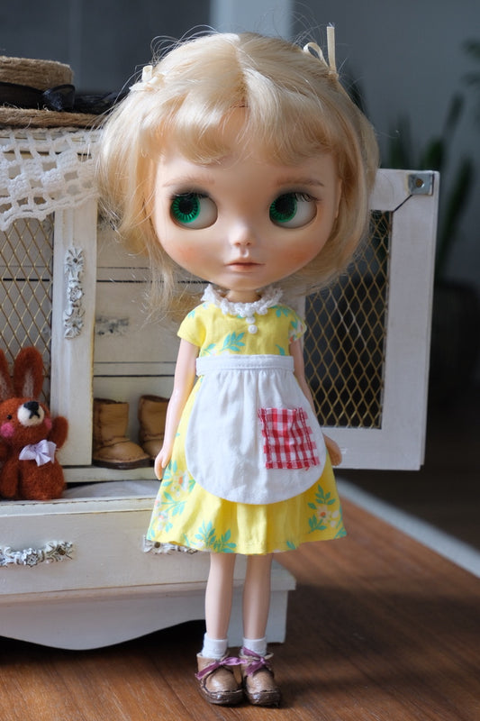 Dress and Apron