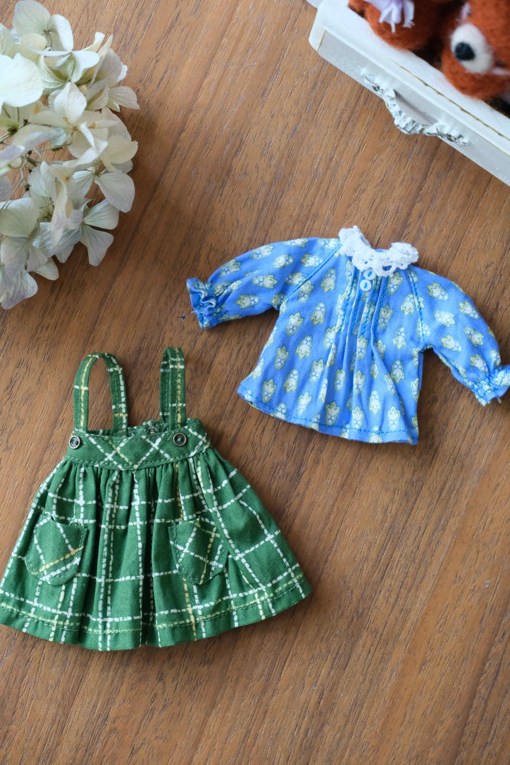 Jumper Skirt and Bluse