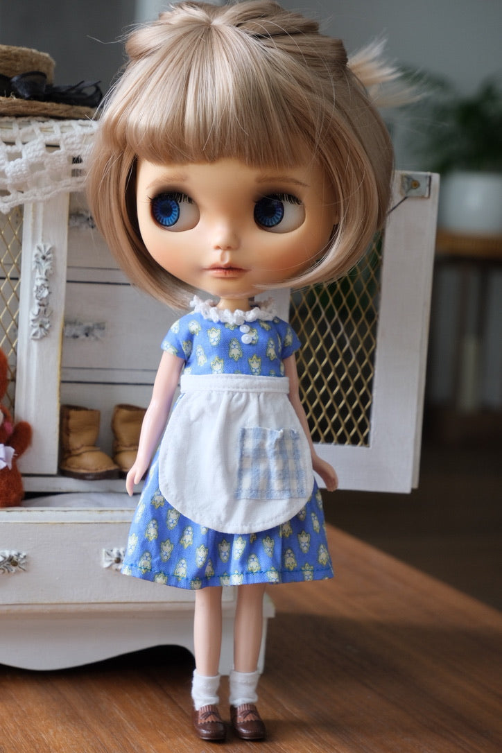 Dress and Apron