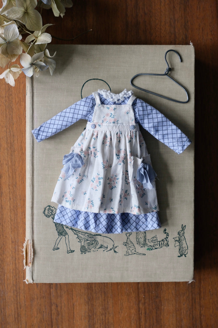 Dress and Apron