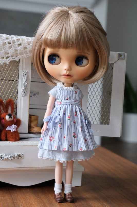 Dress and Apron
