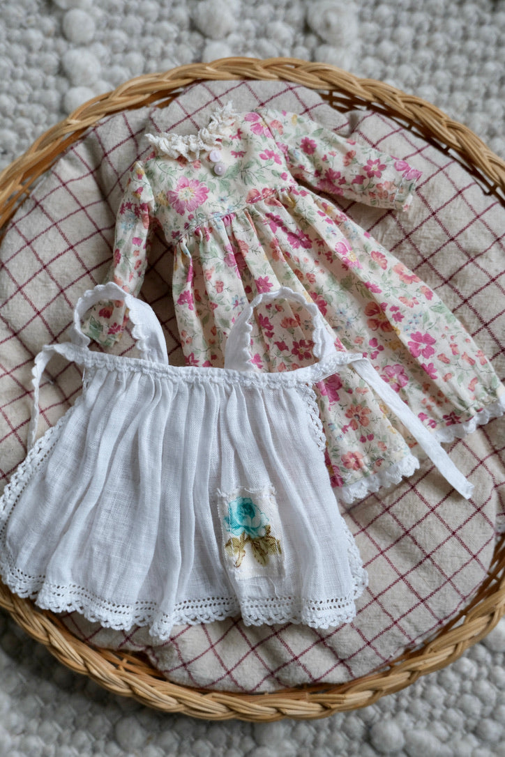 Dress and Apron