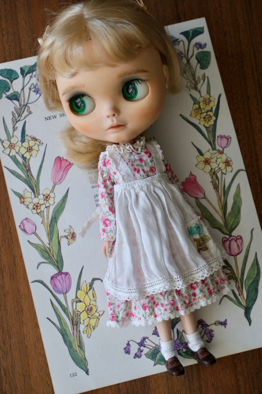 Dress and Apron