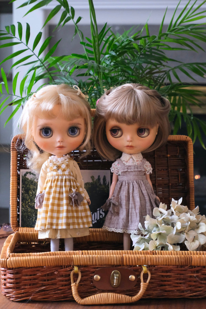 Pinafore Dress and Blouse