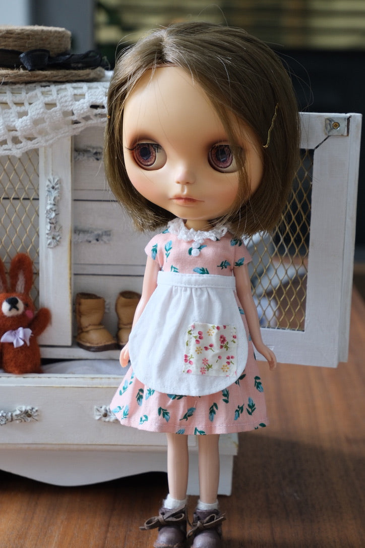 Dress and Apron