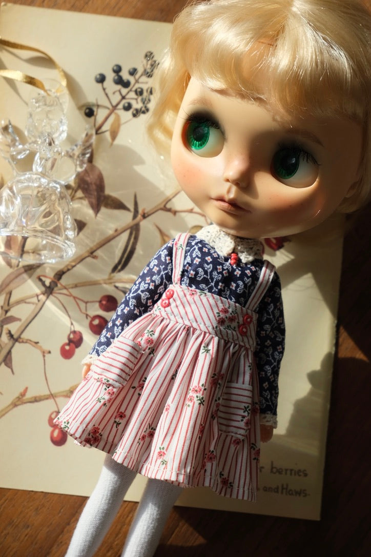 Shirt and Jumper Skirt