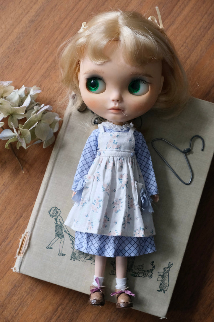 Dress and Apron